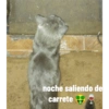noche saliendo de
carrete