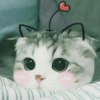 Gatos fofos 14