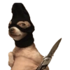 Memes Perritos 🐕 6