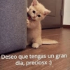 Deseo que tengas un gran
dia, preciosx :)