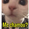 Me chamou?