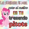 Memes pa' ligar 1 11