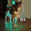 oi