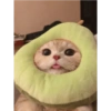 Gatos fofos 8