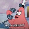 APASI NGENTOT