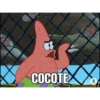 COCOTE