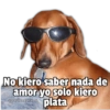🥳Memes Party 4🎊 6