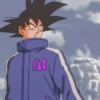 Goku 27