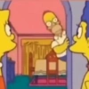 Homer Simpson 5
