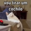 vou tirar um
cochilo