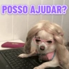 FRASES ÓTIMAS 7