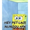 HEY PET LAGI
NUNGGU APA