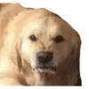 Stickers without context 5