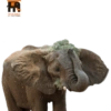 Habitantes del zoo 12