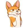 Cute dog 20