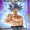 Buenas noches mi
bida
peloteamerxi
SH
sueña con gatitos