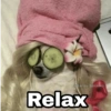 @Harley_Stickers
Relax