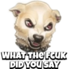 Pet reactions 7