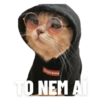 Supreme
TO NEM AI