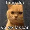 RESPOSTA PARA TUDO  5