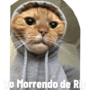To Morrendo de Ri
