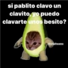 MEMES PACK 4.0 7