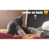noche en baño