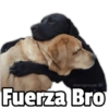🥳Memes Party 4🎊 14