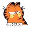 Garfield Grosero 15