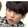 PANIC IN GAY