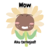 Sunfloppy 7