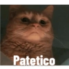 Patetico
