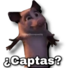 Vecinos Invasores 27