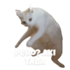 Gatitos #1 6