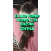EL QUE PUEDE
PUEDE, Y EL
Que no,
CRITICA