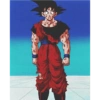 Goku 14