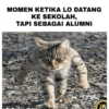 Receh Bgt 13