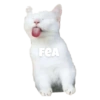 Gatitos #1 22
