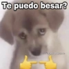 Te puedo besar?
CHarley Stickers