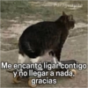 Paraguayita
Me encantó ligar contigo
y no llegar a nada,
gracias
