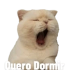 Quero Dormir