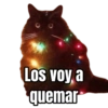 Los voy a Matar 🥵 7