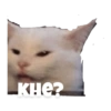 Gatitos #1 5