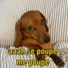 Selecionadas Para Você: 8