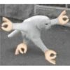 Memes 12