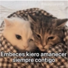 Paraguayita
Embeces kiero amanecer
siempre contigo
