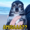 AMIGAAA??