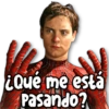🍃 MEMES Random 5.0 🤯🌝 17