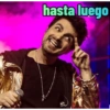 Miranda mi amor 11 15