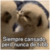Paraguavita
Siempre cansado,
pero nunca de ti bb